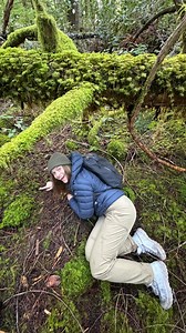 118K views · 3.9K reactions | Can you relate?  #nature #naturenerd #naturalist #forestfloor #naturewalk #hike | The Nature Educator | Facebook