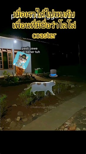 เมื่อคุณเป็นเพื่อนโรลเลอร์โคสเตอร์