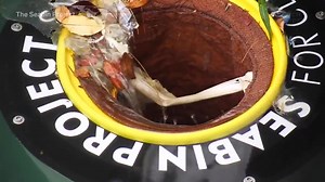 22 Inventions That Are Saving The Earth From whirlpool turbines to edible cutlery, water blobs, and package-free shampoo and toothpaste, we've compiled a list of 22 inventions that could help us cut back on plastic, reduce garbage in the sea, and make the Earth a better place. | Business Insider Africa