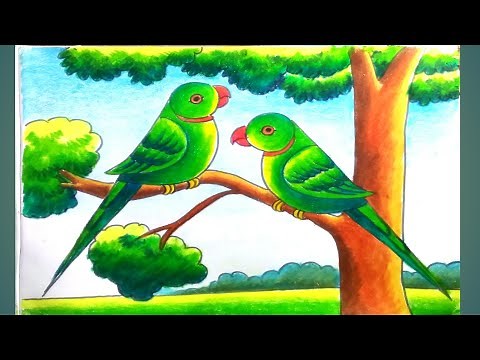 How to draw a parrot scenery step by step/parrot drawing with colour