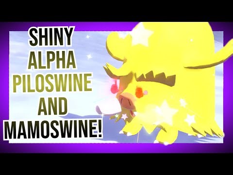3 mins after getting the Shiny Charm! Shiny Alpha Piloswine and Mamoswine! - Pokemon Legends: Arceus
