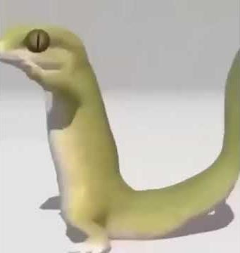 Dancing lizard meme😁
