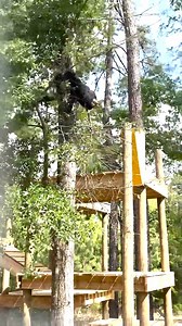 5K views · 353 reactions | We have a brand new addition to our...