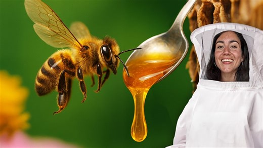 Come fanno le api a produrre il miele? La scienza dietro la sostanza più dolce del mondo