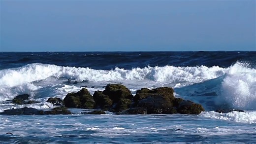 第735集 ｜完蛋蛋 越来越喜欢你了 .