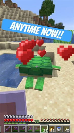 Making BABIES! - Minecraft #minecraft #smeadgaming #funnygaming