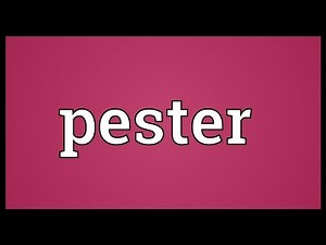 Pester Meaning