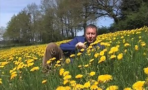 Les animaux du Printemps  - Nature d'ici et d'ailleurs