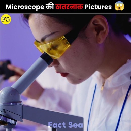 How Different Things Look Like Under A Microscope #shorts