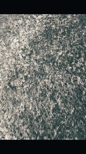 Exploring the Iconic R32 Skyline and Its RB26DETT Engine