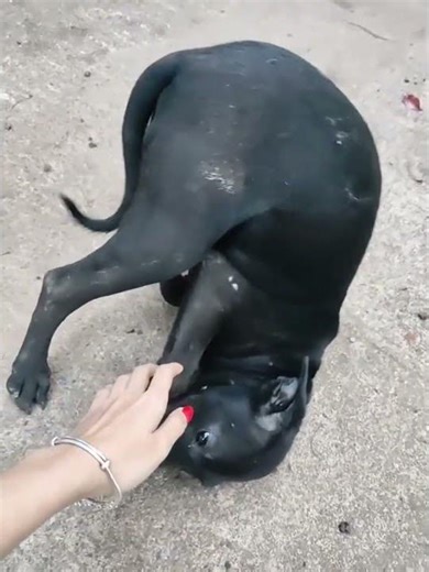 first time holding hands #funny #funny#shorts