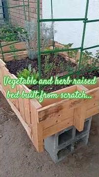 vegetable and herb raised bed built from scratch | before and after | cape town #Yahuah #Yahusha