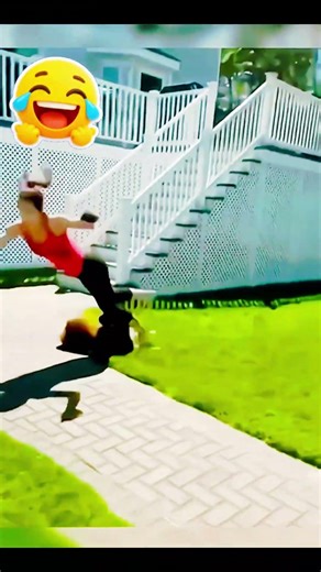 Crazy Pet Moments Compilation! 🐾🤣 #funnyvideos