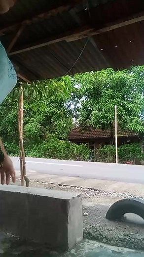 274K views · 3.3K reactions | Lampak Lampak juluk gaayyss mentaren bian | Anju Keras AtEn | Facebook