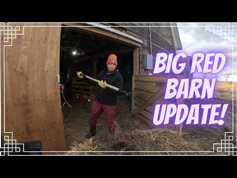 Working in the Big Red Barn