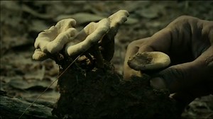 Chatrak - Extrait (1) VOST