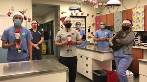 26 reactions · 11 comments | We’re celebrating the “12 Strays of Christmas,” which started Christmas Day.  On the ninth day of Christmas my true love gave to me nine loving pats, eight friends to play with, seven toys to chew on, six hours napping, five tummy rubs, four bouncing balls, three yummy treats, two squeaky toys and the purrr-fect family. What will our furry friends get on the 10th day of Christmas? | Miami-Dade Animal Services | Facebook