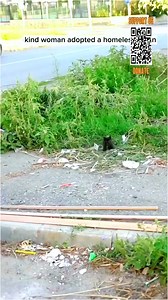 Kind girl adopted a homeless kitten #animals #rescue #animalrescue #animalshorts. | Miss My Pet