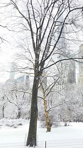 Una città davvero magica | Il mio viaggio a New York
