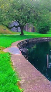 Snapping Turtle Climbs Out Of Pond #Snapping #Turtle #Climbs #Out #Of #Pond #reels #BeautyOfNature92 #fbreels | Beauty of Nature