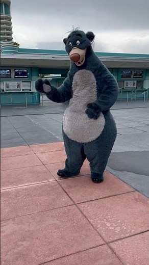 Baloo From The Jungle Book At Disney’s Hollywood Studios!