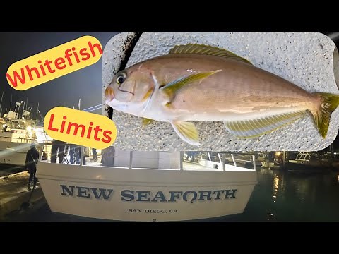 New Seaforth Sportfishing San Diego CA Limits of Off Shore Whitefish & Closed Rockfish