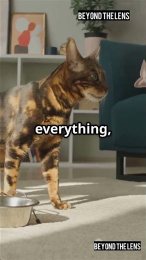 Bengal Cats: The Beautiful Nightmare 🐆❌