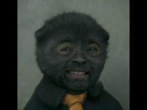 Sound Beings: The New Artificial Intelligence