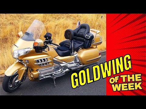 Goldwing of the Week -Custom Gold Paint Job -Amazing Dash Upgrade- Episode 4