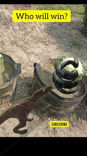 Dinosaur vs snake #dinosaur #snake #godzilla #cartoon #effect