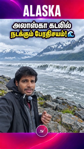 அலாஸ்கா கடலில் நடக்கும் பேரதிசயம்!😳 🌊