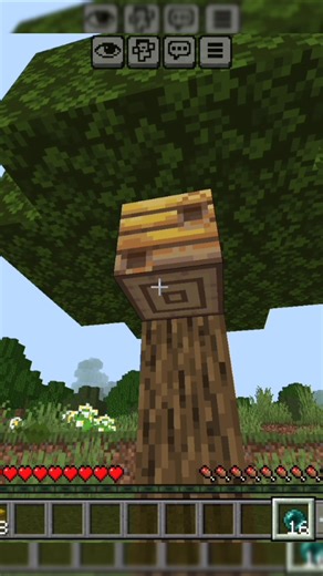Minecraft secret blocks how I enter it