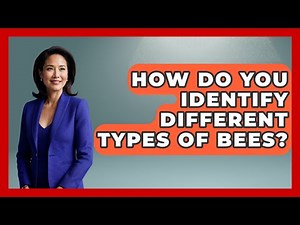How Do You Identify Different Types Of Bees? - Exploring Campgrounds