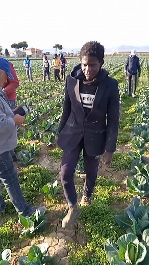 Chekk .España on TikTok