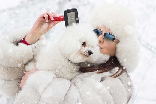5 Ways to Reduce Dog Shedding in Winter