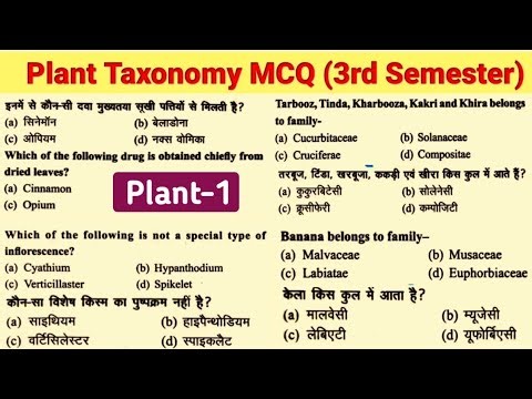 Plant Taxonomy MCQ/MCQ on Plant Taxonomy/MCQ on Plant Family/BSc 2nd Year 3rd Semester Botany Unit 3