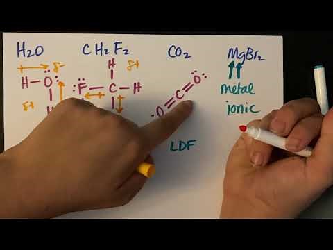 Ranking Intermolecular Forces - Compare Highest/Lowest Boiling Points with IMF's