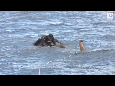 Diver Rescues Elephant Struggling To Breathe In Deep Waters