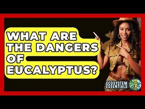 What Are The Dangers Of Eucalyptus? - Ecosystem Essentials