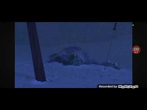 Monsters inc Sled ride Mobizen (2001)