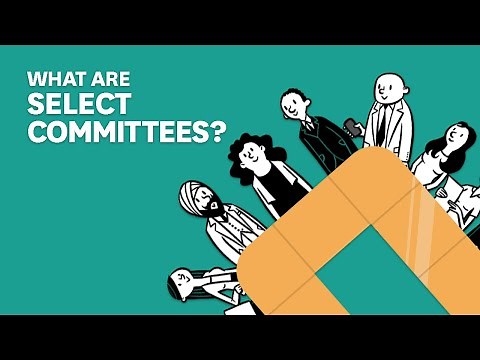 What are select committees?