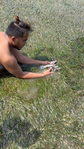 63K views · 363 reactions | Hand catching crabs 呂 | DONG ALLAN TV | Facebook