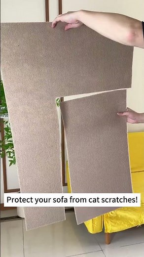 Stop Cat Scratches Instantly! Best Sofa Protector #cat