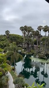 Did you know? 🌟 Originally named Vacation Village by Jack Skirball, the resort started with 150 guestrooms, one restaurant, two tennis courts, and a small golf course. Over the next 40 years, it transformed into what we now know as Paradise Point, featuring: ✨ 462 bungalow-style guestrooms 🍽️ 2 unique restaurants with stunning views of Mission Bay 🎾 4 lit tennis courts and 1 pickleball court 🏊 5 swimming pools 💆‍♀️ Full-service spa 🏋️ State-of-the-art fitness center ⛳ 18-hole putting cours