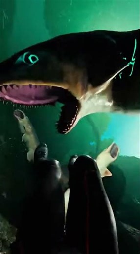 Waterslide into pool full of giant fish #funny #memes