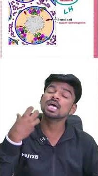 🧠 CONCEPT CAPSULE | Human Reproduction | Spermatogenesis Hormones | NEET Zoology | Xylem NEET Tamil