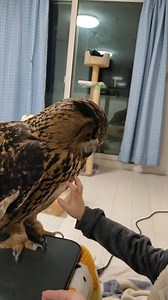 83K views · 10K reactions | Smart Skills on Reels | Facebook