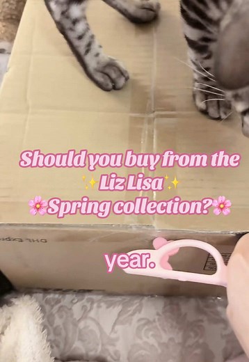 Buy or Skip? Liz Lisa Spring Collection Review