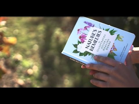 Nature's Remedies: An Illustrated Guide to Healing Herbs
