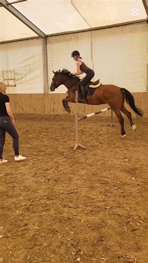 ale gówno// Reks ma z nowu problemy z zębami i nie możemy jeździć #ponymalta #horse #equestrian